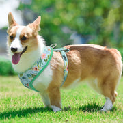 Vest Harness for Dogs in Beautiful Botanical Pattern