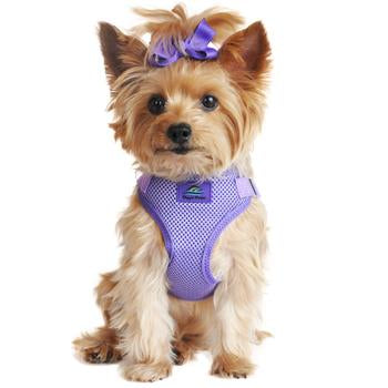 Wrap and Snap Choke Free Dog Harness (10 colors and prints)