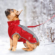 Stunning All Weather Waterproof Dog Jacket with Reflective Trim