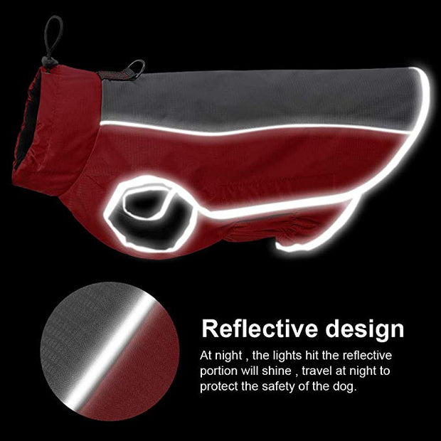 Stunning All Weather Waterproof Dog Jacket with Reflective Trim