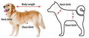 Stunning All Weather Waterproof Dog Jacket with Reflective Trim