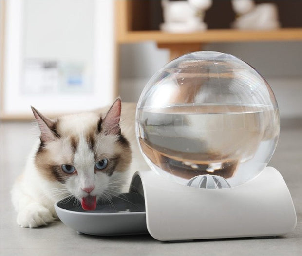 Contemporary Globe Shaped Water Dispenser for Cats and Dogs (4 colors) Media 5 of 9        736