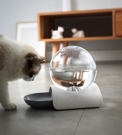 Contemporary Globe Shaped Water Dispenser for Cats and Dogs ( 3 colors)