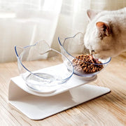 Ultra Modern Non Slip Cat Bowl with Stand for your Fabulous Feline